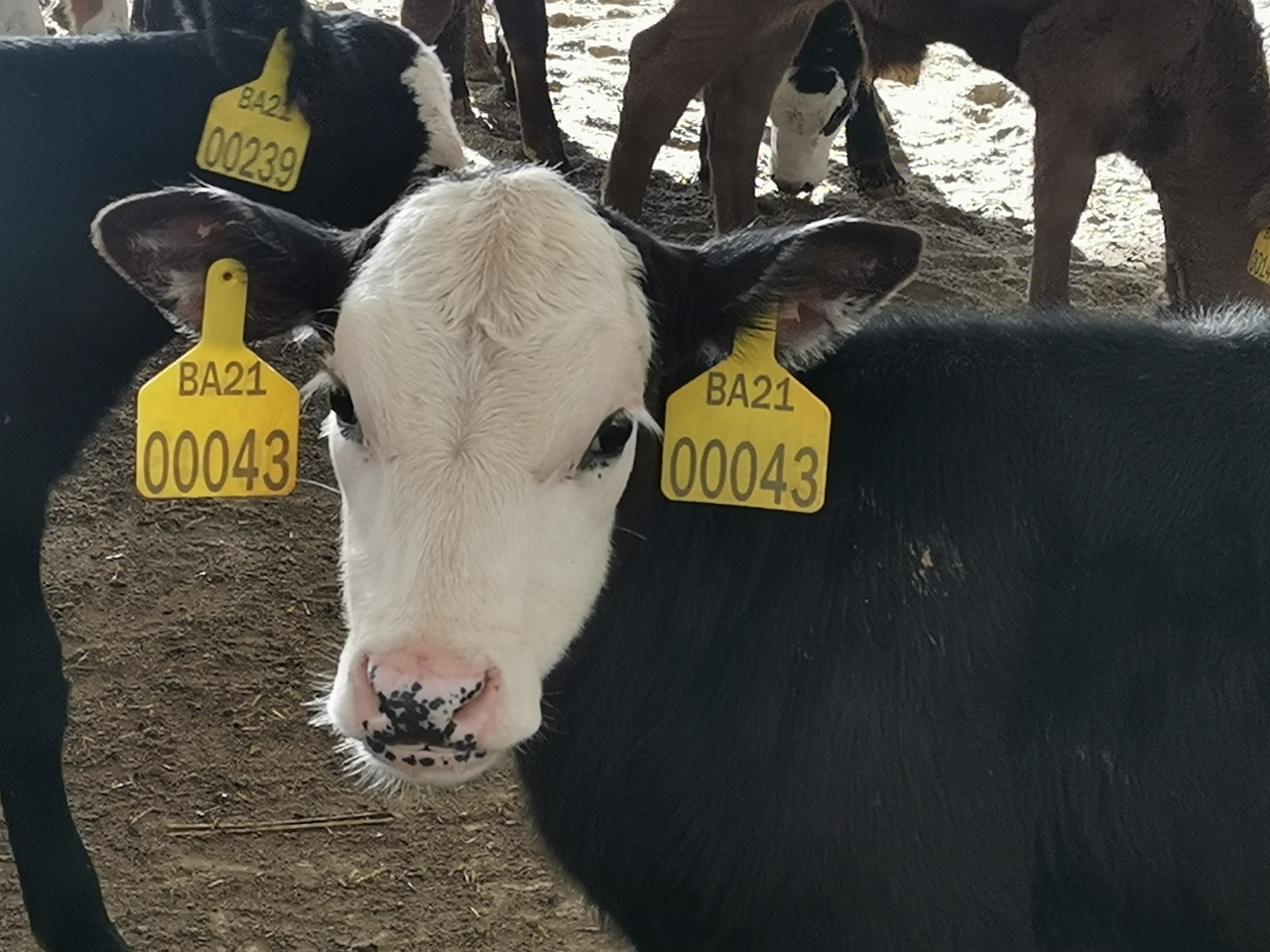 1698028800223001.png 1698028800223001.png